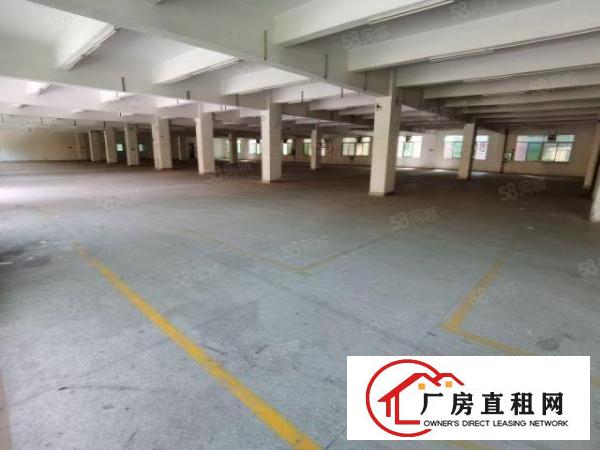  刚刚新出东站附近标准厂房，大小可分，位置好，便宜租