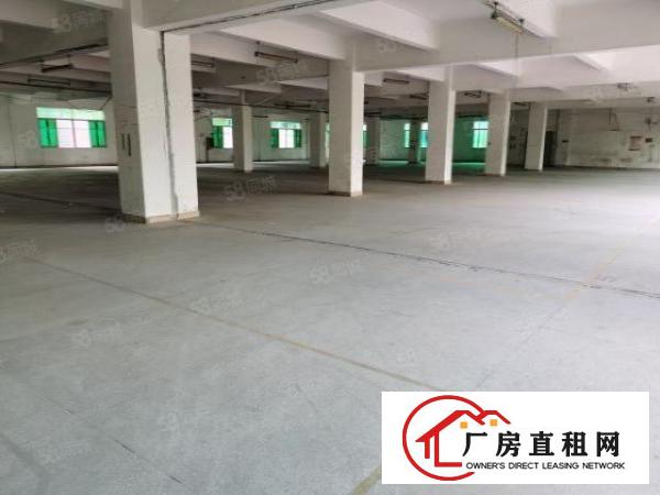  刚刚新出东站附近标准厂房，大小可分，位置好，便宜租