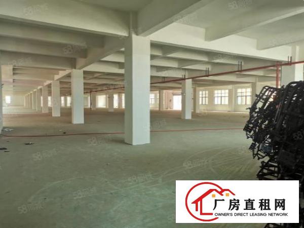  东莞东城牛山外径工业区15000平原房东标准独院厂房低价出租