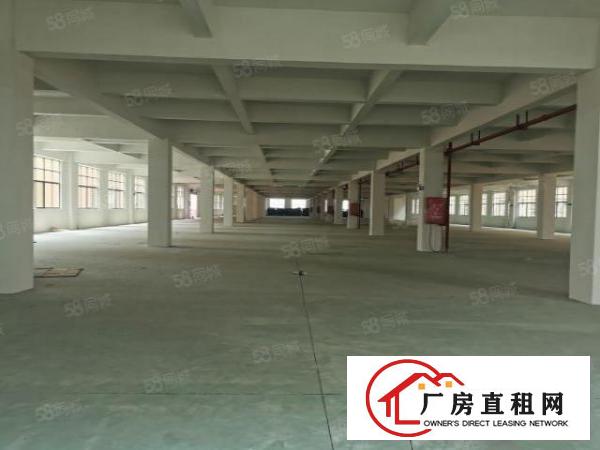  东莞东城牛山外径工业区15000平原房东标准独院厂房低价出租
