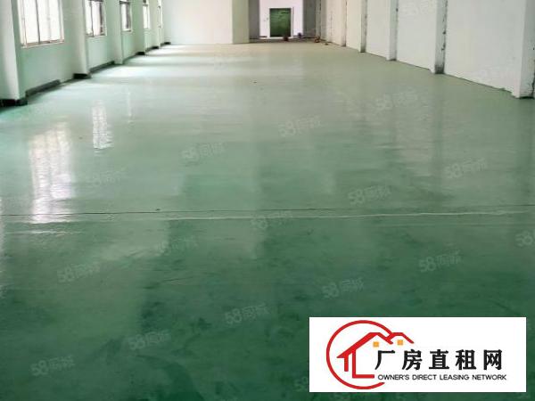  石井环城路附近标准工业园区分租一楼1000方有水电办公室装修