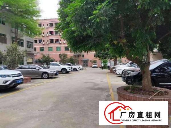  桑园茶叶市场附近标准独门独院红本厂房15000方招租可分租