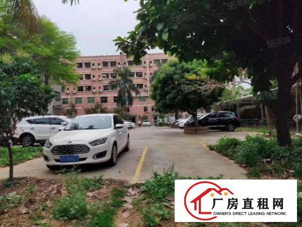  桑园茶叶市场附近标准独门独院红本厂房15000方招租可分租
