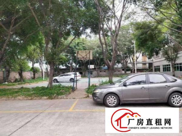  桑园茶叶市场附近标准独门独院红本厂房15000方招租可分租