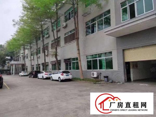  桑园茶叶市场附近标准独门独院红本厂房15000方招租可分租