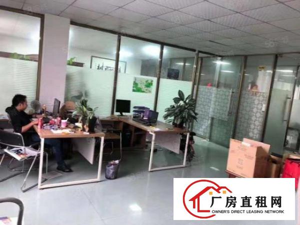  桑园茶叶市场附近标准独门独院红本厂房15000方招租可分租