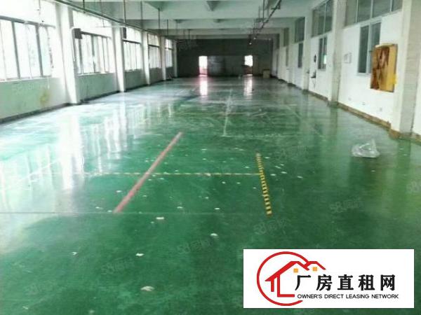  桑园茶叶市场附近标准独门独院红本厂房15000方招租可分租