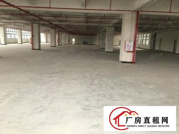  同沙高新科技园2万平方火爆招商,形象好，大小可分!