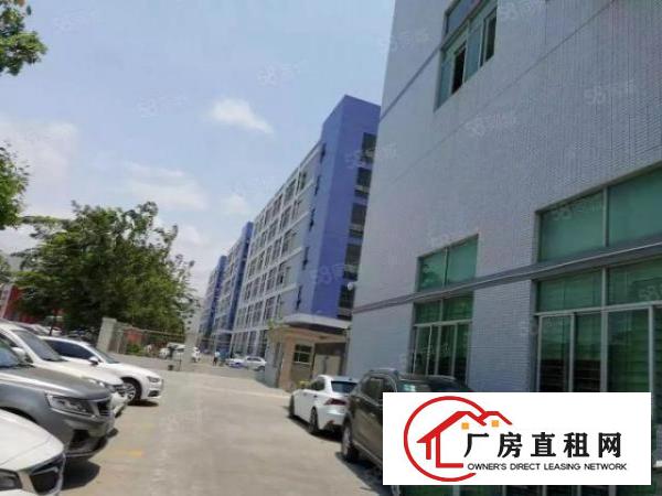  东城牛山工业区新出整层低价出租（大小可分租）