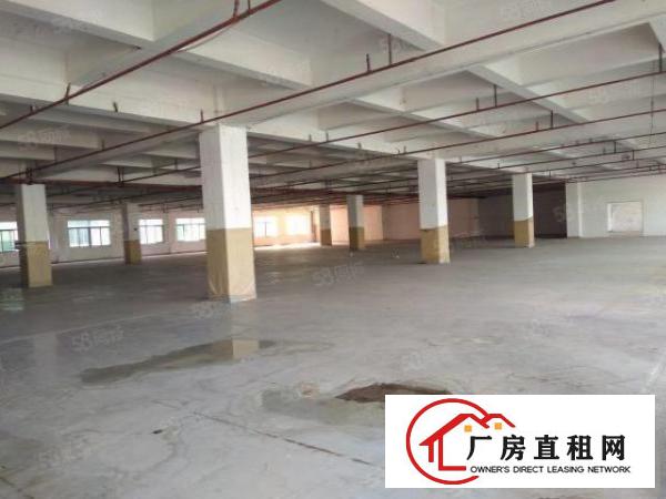  东城私人独院厂房6500平方，关系简单，时间年限长