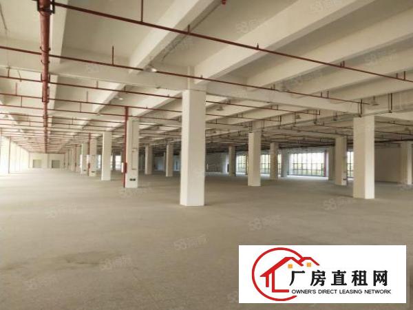  牛山厂房仓库标准楼房出租可办环评可做印刷塑胶五金磨具鞋材电子