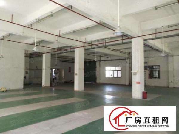  牛山厂房仓库标准楼房出租可办环评可做印刷塑胶五金磨具鞋材电子