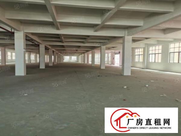 东莞东城牛山外径工业区15000平原房东标准独院厂房低价出租