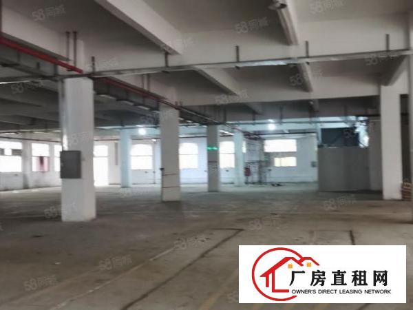  东莞东城牛山外径工业区15000平原房东标准独院厂房低价出租