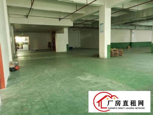  温塘工业区新出原房东独院厂房分租2楼900平带装修办公室