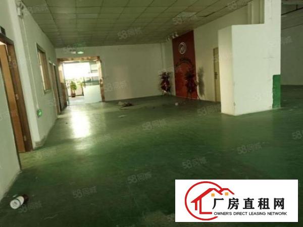  温塘工业区新出原房东独院厂房分租2楼900平带装修办公室