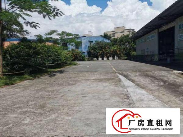  东城新出12米单一层，只租15元，500平起大小可分，环境好