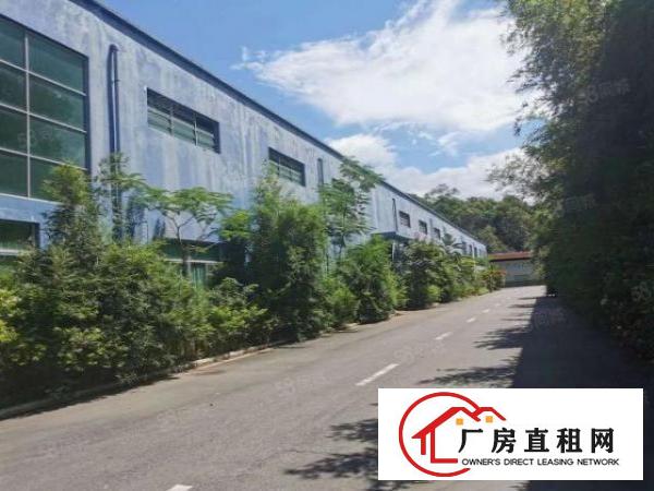  东城新出12米单一层，只租15元，500平起大小可分，环境好