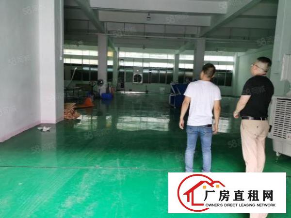 刚刚新出东城一楼900平跟二楼420平，带装修，水电办公室全