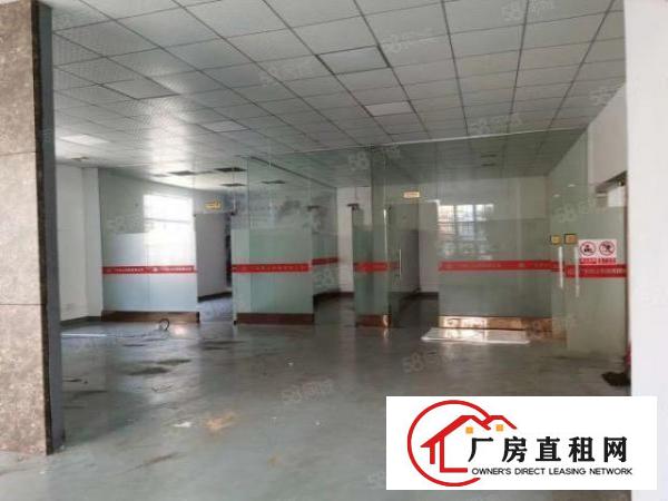  温塘新出楼上单层1350平带现成办公室装修