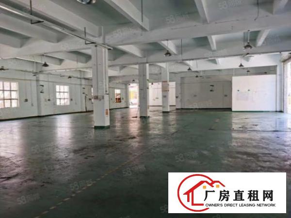  温塘新出楼上单层1350平带现成办公室装修