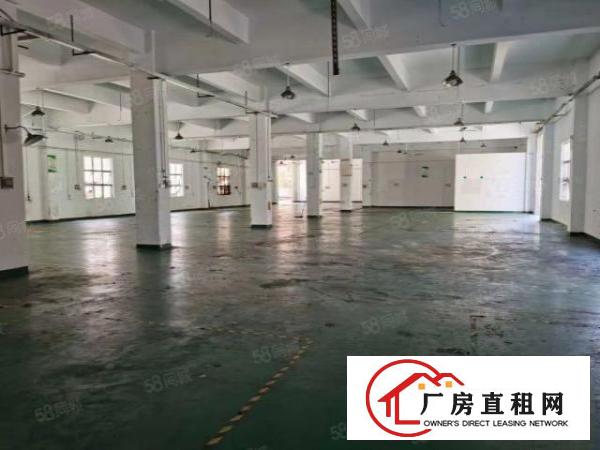  温塘新出楼上单层1350平带现成办公室装修