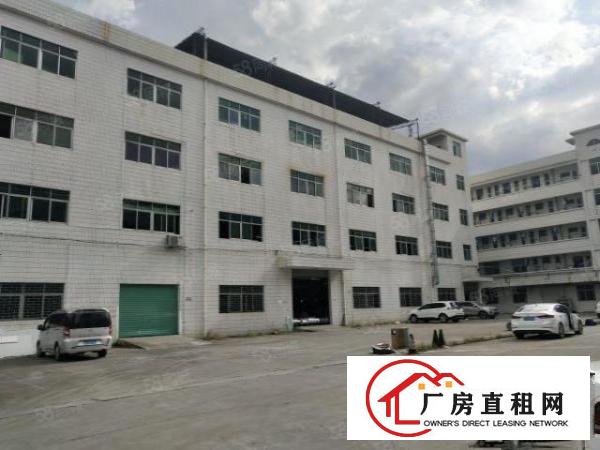  东城石井靠市中心厂房出租仓库办公贸易出租