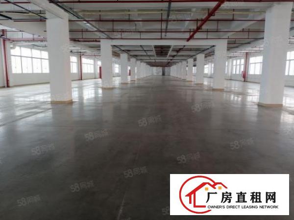  东城科技园自动化高科技食品企业的
