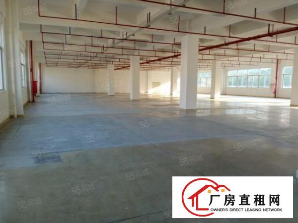  东城科技园自动化高科技食品企业的