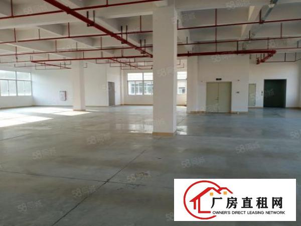  东城科技园自动化高科技食品企业的