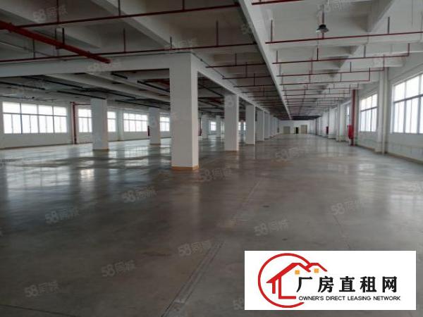 东城科技园自动化高科技食品企业的