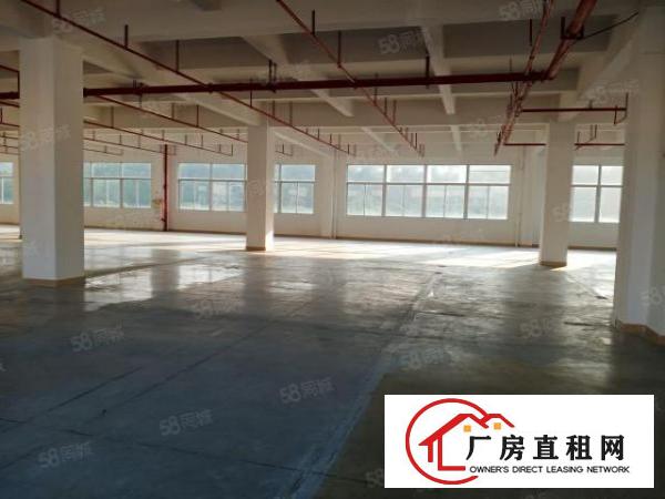  东城科技园自动化高科技食品企业的