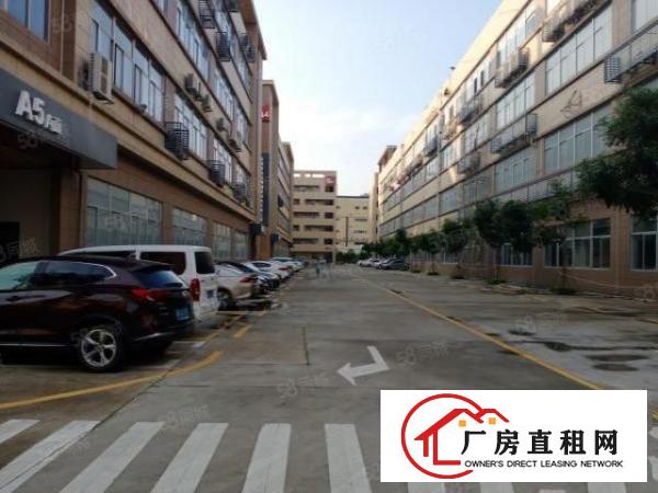  东城科技园自动化高科技食品企业的