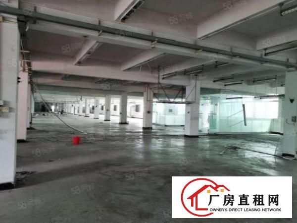  东城新出厂房520平，豪华装修，实际面积无公摊，可办环评！