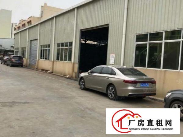  东城茶下单一层钢构厂房出租，总面积2000平方空地大，可分租