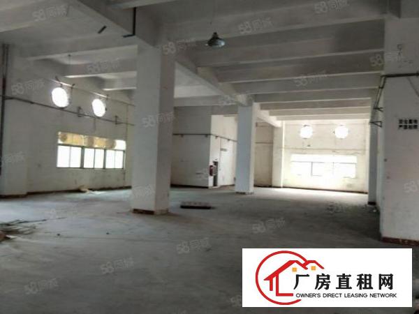  东城800一楼仓库出租