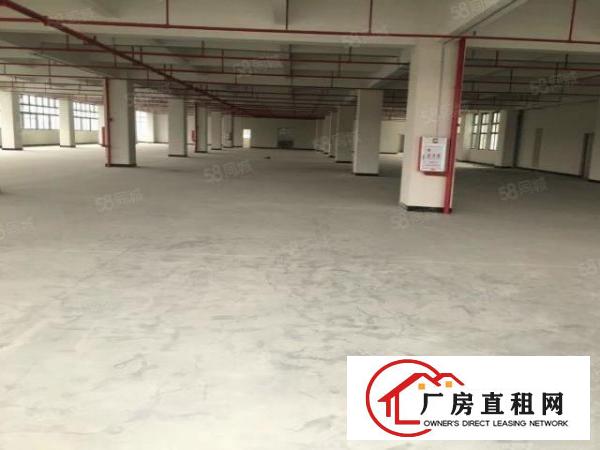  同沙高新科技园2万平方厂房火爆招商,形象好，大小可分!