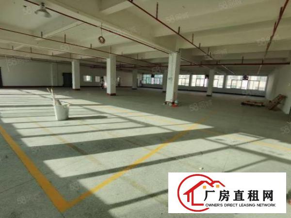  东城新出一楼300平，楼上600平，800平，带装修，地段好