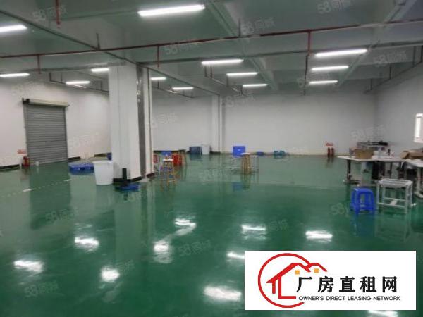 桑园新空出小独院1800方，全新地坪漆，豪华装修办公室！