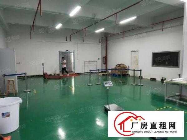  桑园新空出小独院1800方，全新地坪漆，豪华装修办公室！
