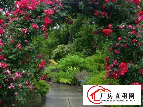  该厂房位于东城峡口，独门独院，花园式单一层铁皮厂房，面积15