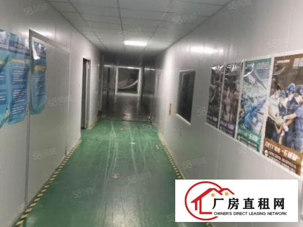  原房东独门独院出租有宿舍办公空地大拖头好进出现成环评有排放