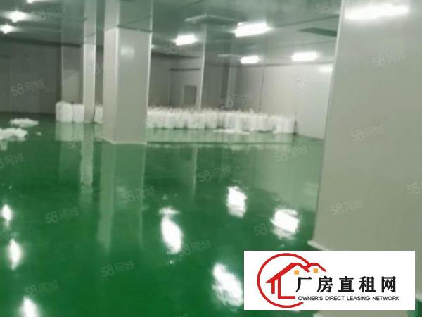  原房东独门独院出租有宿舍办公空地大拖头好进出现成环评有排放