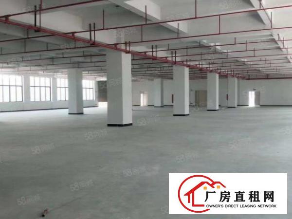  东城城光明新出标准厂房二楼3200平，三楼2900平价格便宜