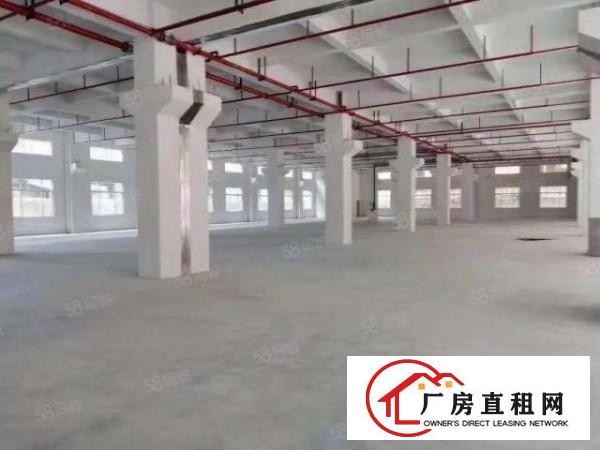  东城城光明新出标准厂房二楼3200平，三楼2900平价格便宜