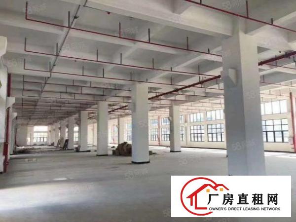  东城城光明新出标准厂房二楼3200平，三楼2900平价格便宜
