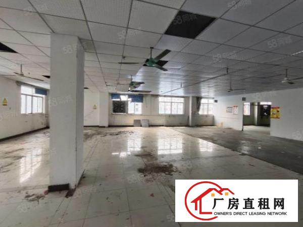  东城三楼厂房850平有现成办公室，喷淋消防地坪漆宿舍3房1厅