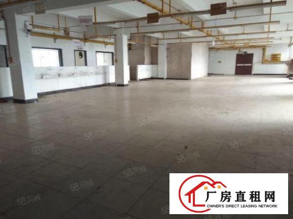  东城温塘厂房一楼，楼上各650平，1000平方，价钱优惠