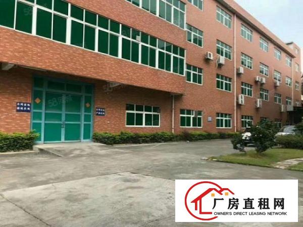  独门独院标准楼房出租