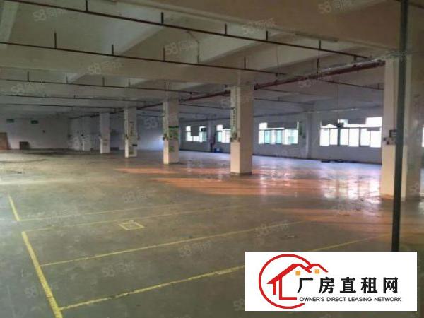  独门独院标准楼房出租